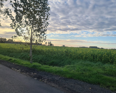 Fotozoektocht VKS Hamme-Zogge