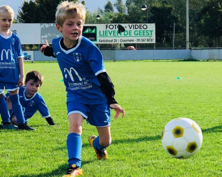 U6 zaterdag 12 oktober 2019 : SKV Overmere vs VKS Hamme-Zogge