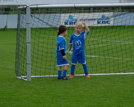 U6 zaterdag 12 oktober 2019 : SKV Overmere vs VKS Hamme-Zogge