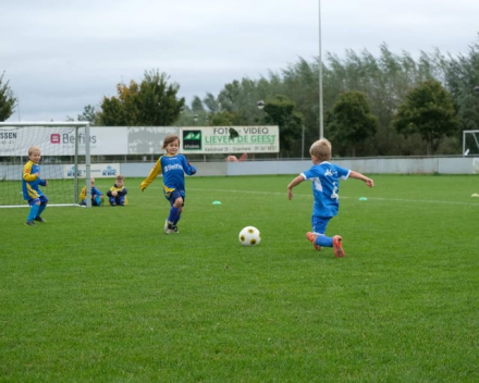 U6 zaterdag 12 oktober 2019 : SKV Overmere vs VKS Hamme-Zogge