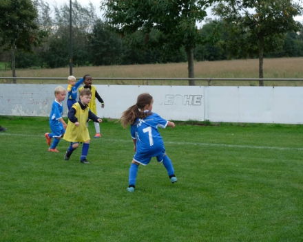 U6 zaterdag 12 oktober 2019 : SKV Overmere vs VKS Hamme-Zogge