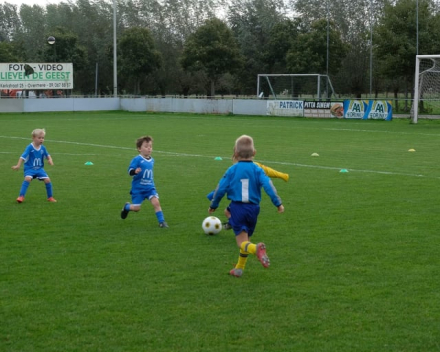 U6 zaterdag 12 oktober 2019 : SKV Overmere vs VKS Hamme-Zogge