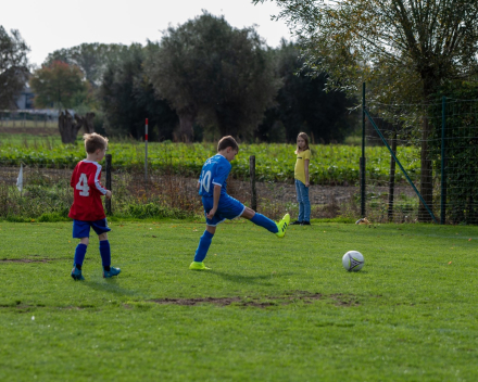 U9 zaterdag 12 oktober 2019 : Rangers Opdorp vs VKS Hamme-Zogge